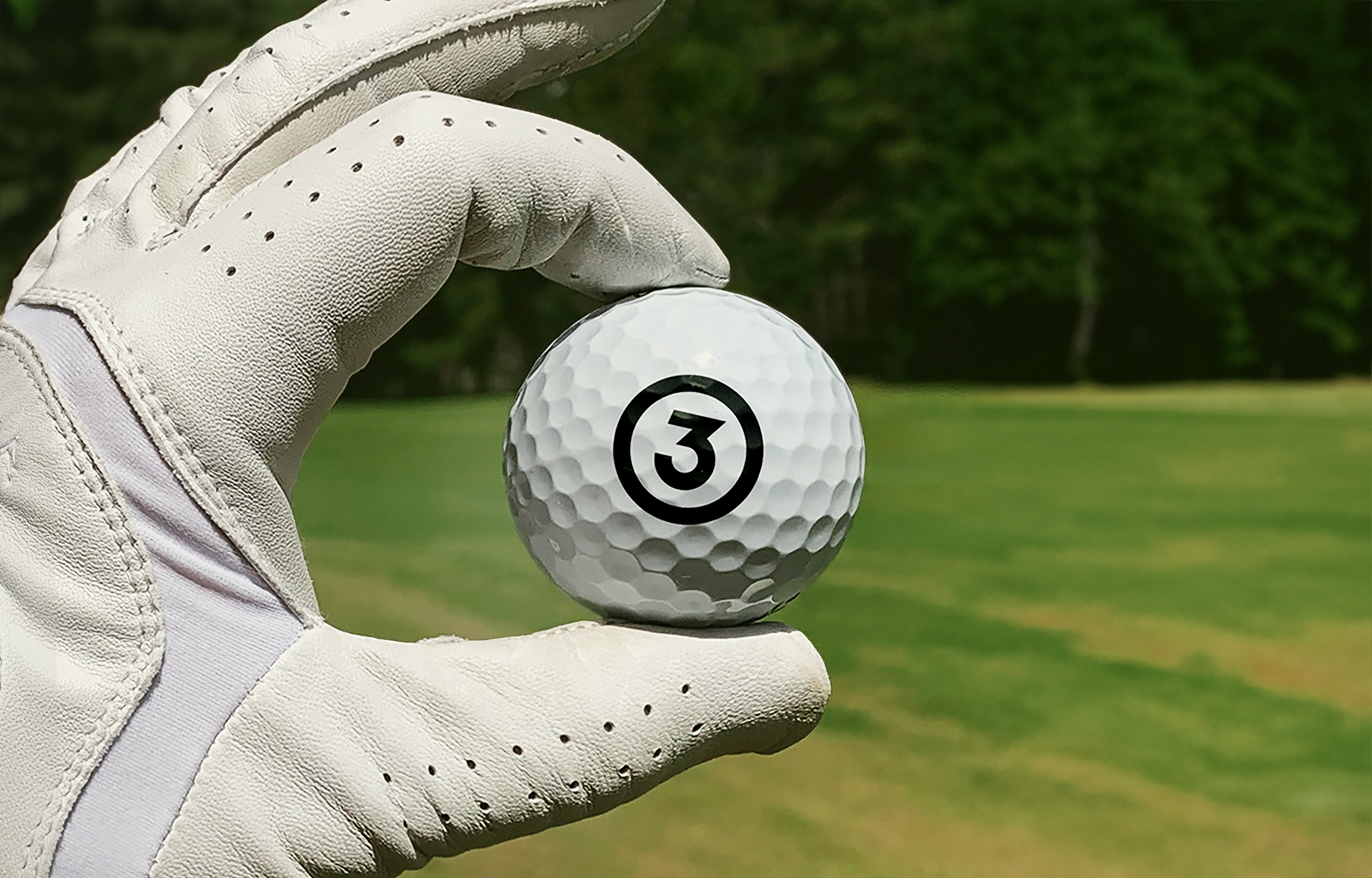 The3Iron Brand Identity