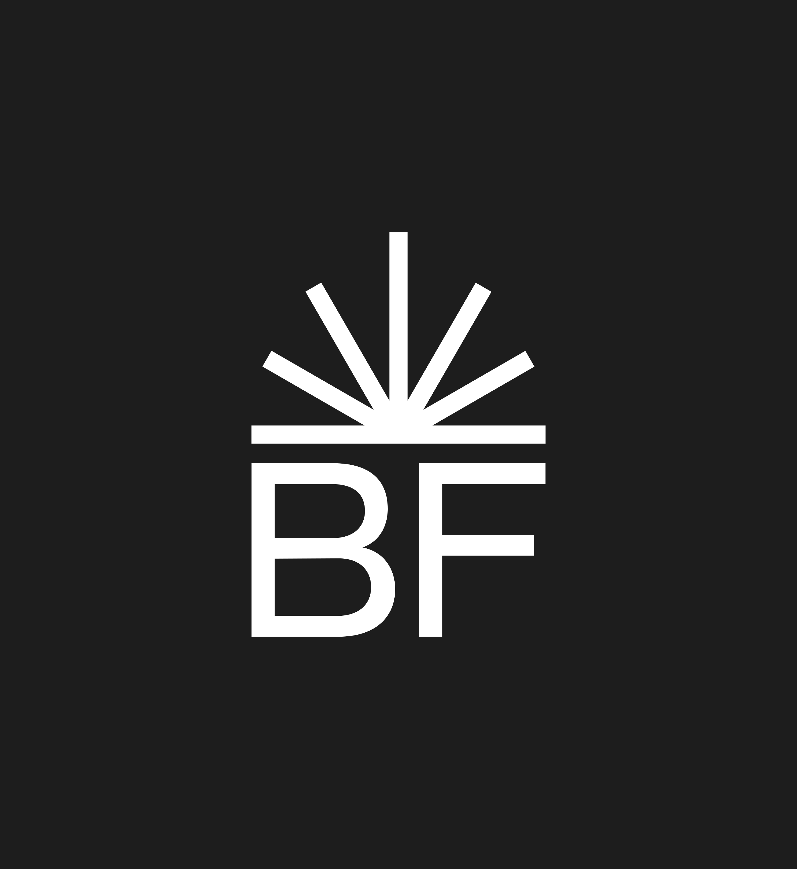 Varianti logo Bugan Farina
