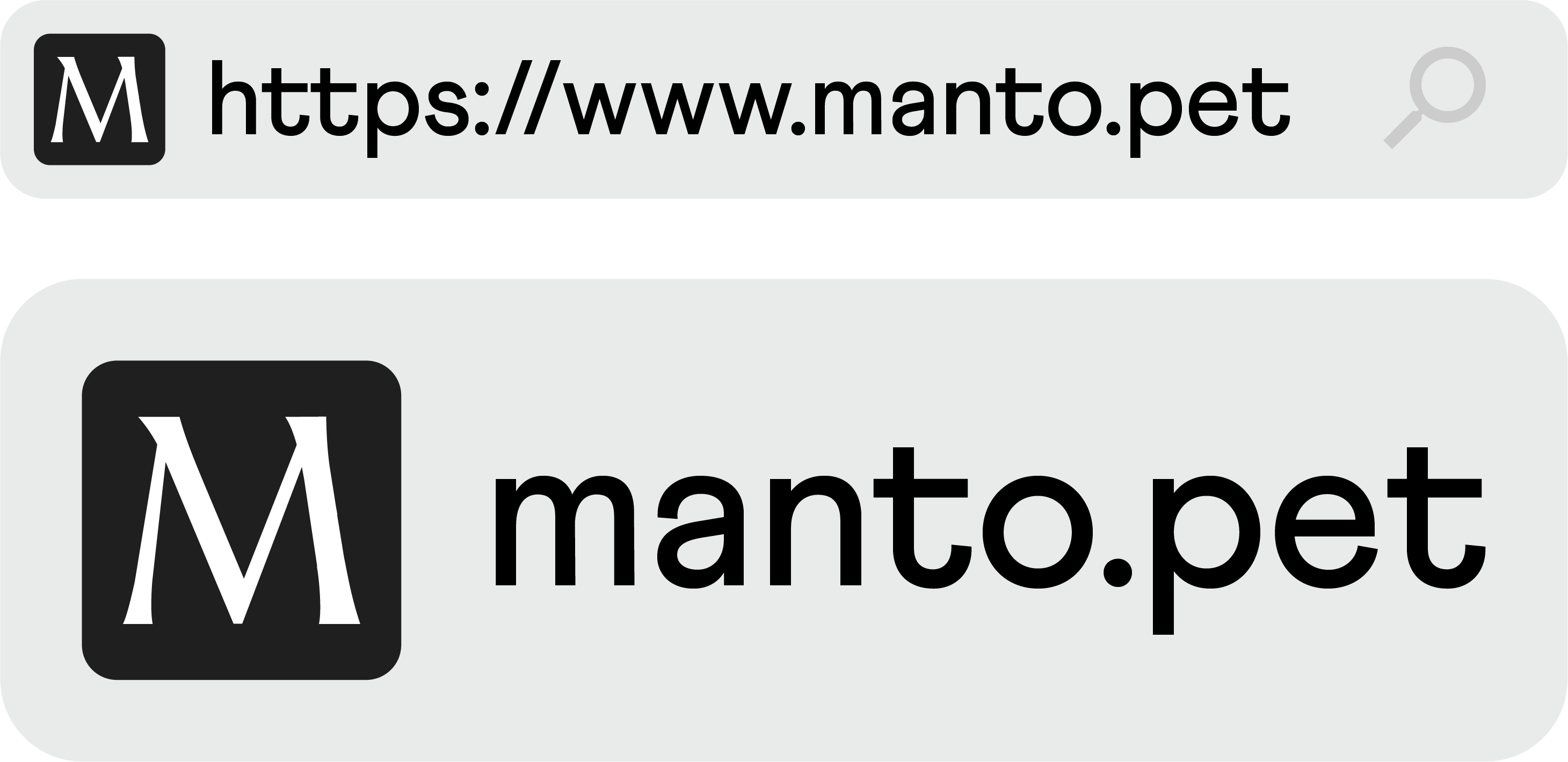 Manto favicon e naming